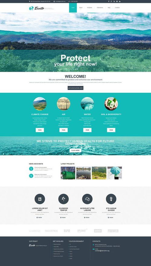 十大国外能源与环保公司网页设计案例解析